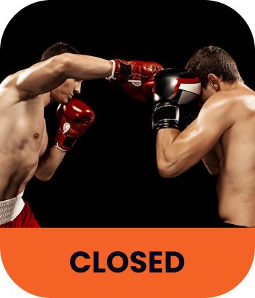 Quick Butterfly Sprint in Summer Golden